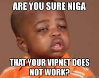 are you sure niga that your vipnet does not work?