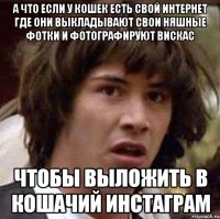 а что если у кошек есть свой интернет где они выкладывают свои няшные фотки и фотографируют вискас чтобы выложить в кошачий инстаграм