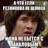 а что если резникова не шлюха и она не ебется с пакаловым