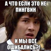 а что если это не пингвин и мы все ошибались?! ...