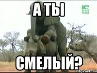 а ты смелый?