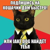 подпишись на кошачий дом быстро! или jake dog найдёт тебя