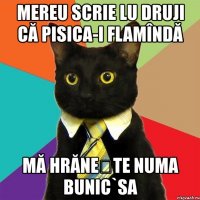 mereu scrie lu druji că pisica-i flamîndă mă hrănește numa bunic`sa