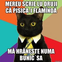 mereu scrie lu druji că pisica-i flamîndă mă hrăneste numa bunic`sa