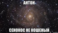 антон сенокос не кошеный