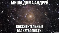 миша,дима,андрей восхитительные баскетболисты