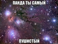 панда ты самый пушистый