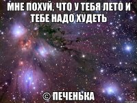 мне похуй, что у тебя лето и тебе надо худеть © печенька