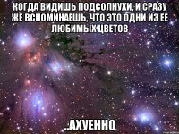 когда видишь подсолнухи, и сразу же вспоминаешь, что это одни из ее любимых цветов ..ахуенно