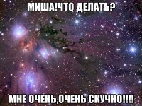 миша!что делать? мне очень,очень скучно!!!