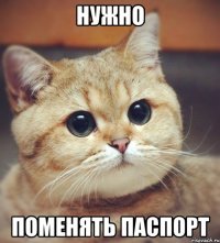 нужно поменять паспорт