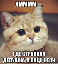 хмммм..... где стройная девушка, а лицо неоч