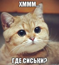 хммм... где сиськи?