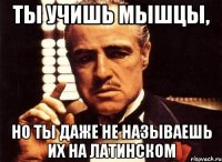 ты учишь мышцы, но ты даже не называешь их на латинском