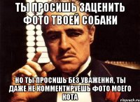 ты просишь заценить фото твоей собаки но ты просишь без уважения, ты даже не комментируешь фото моего кота