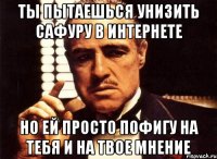 ты пытаешься унизить сафуру в интернете но ей просто пофигу на тебя и на твое мнение