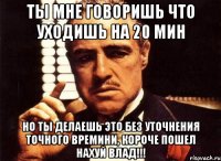 ты мне говоришь что уходишь на 20 мин но ты делаешь это без уточнения точного времини, короче пошел нахуй влад!!!