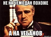 не на чемодан похоже а на уебанов