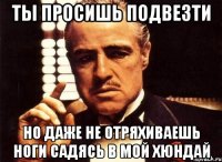 ты просишь подвезти но даже не отряхиваешь ноги садясь в мой хюндай