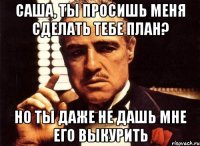 саша, ты просишь меня сделать тебе план? но ты даже не дашь мне его выкурить