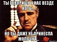 ты говоришь у нас везде коты... но ты даже не принесла молочка...