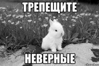 трепещите неверные