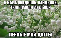 о мама ландыши, ландыши, тюльпаны-ландыши первые май-цветы