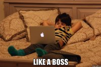  like a boss