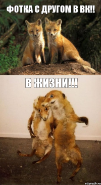 Фотка с другом в вк!! В ЖИЗНИ!!!