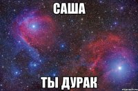 саша ты дурак