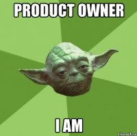 product owner i am