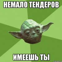 немало тендеров имеешь ты