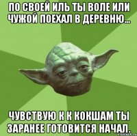 по своей иль ты воле или чужой поехал в деревню... чувствую к к кокшам ты заранее готовится начал.