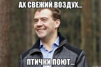 ах свежий воздух... птички поют...