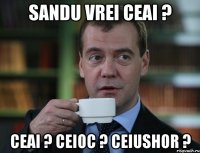 sandu vrei ceai ? ceai ? ceioc ? ceiushor ?