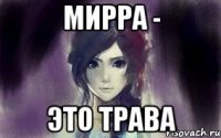 мирра - это трава