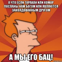 а что если таракан или комар посланы нам богом или являются заколдованным другом а мы его бац!