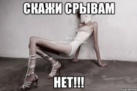 скажи срывам нет!!!