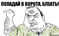 Попадай в ворота, блеать!