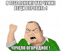 я тебе покожу как чужие вещи воровать ! чучело огородное !