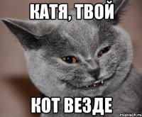 катя, твой кот везде