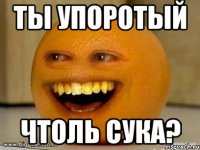 ты упоротый чтоль сука?