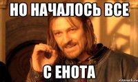 но началось все с енота