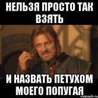 нельзя просто так взять и назвать петухом моего попугая