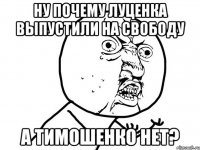 ну почему луценка выпустили на свободу а тимошенко нет?