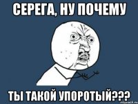 серега, ну почему ты такой упоротый???