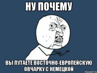 ну почему вы путаете восточно-европейскую овчарку с немецкой