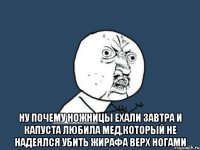  ну почему ножницы ехали завтра и капуста любила мед,который не надеялся убить жирафа верх ногами