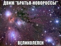 движ "братья-новороссы" великолепен