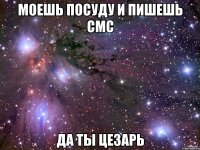 моешь посуду и пишешь смс да ты цезарь